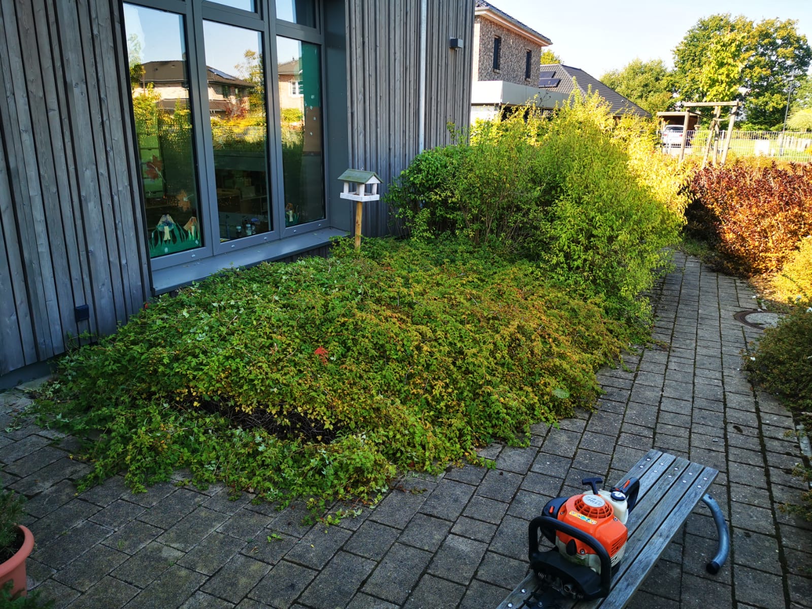 Ungepflegter Garten vor der Frühjahrspflege in Elmshorn