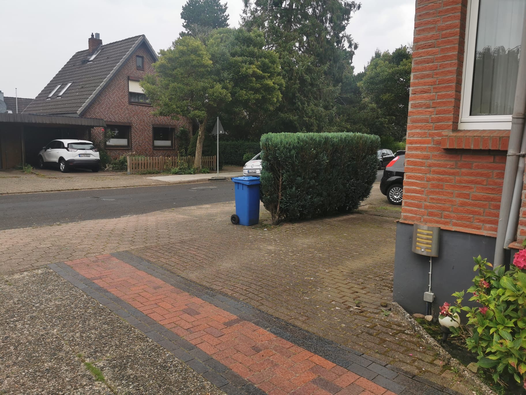 Sauber geschnittene Hecke nach dem Profi-Heckenschnitt